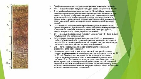 Описание горизонта
