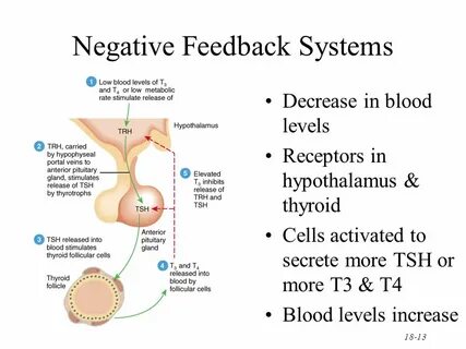 Blood levels