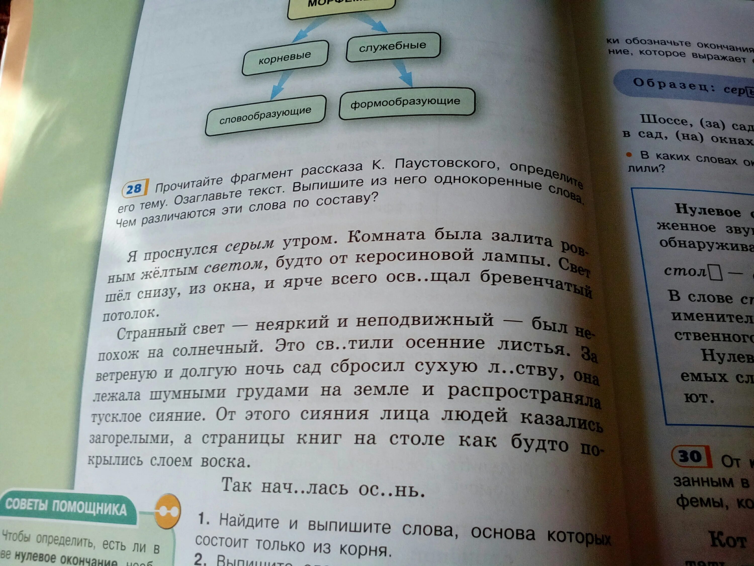 За долгую ветреную ночь сад сбросил