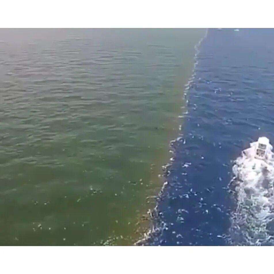 Почему два моря не смешиваются. Море которое не смешивается друг с другом. два моря которые не сливаются. слив двух морей. два моря сливаются в море.