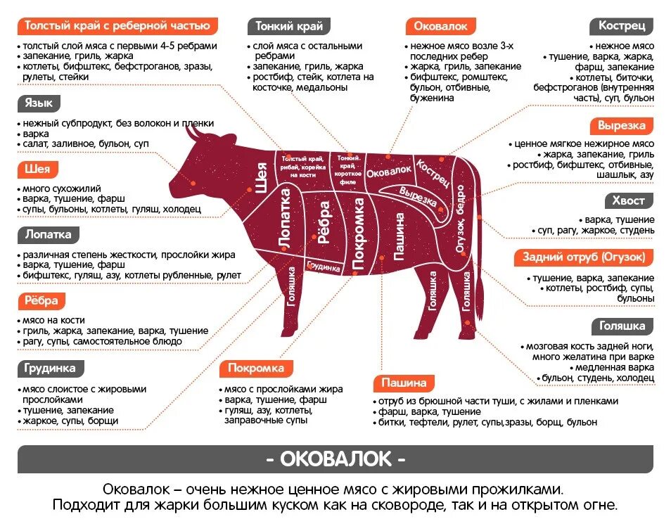 Лучшая часть говядины для фарша. Толстый край говядины на схеме. Толстый край у говядины какая часть туши. Части разделанной туши говядины. Говяжья вырезка схема разделки туши.