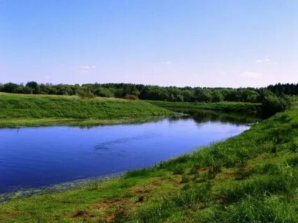 Пригородки кулой
