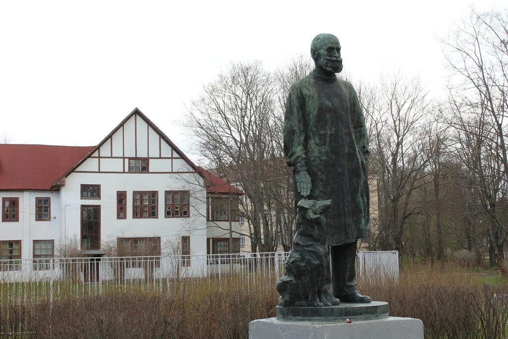 Г п павлово. Колтуши памятник Павлову. Научный городок Павлова в Колтушах. Памятник Павлову в Колтушах Ленинградской области. Музей и.п.Павлова в Колтушах.