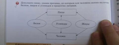 Рассмотрите схему дополните ее