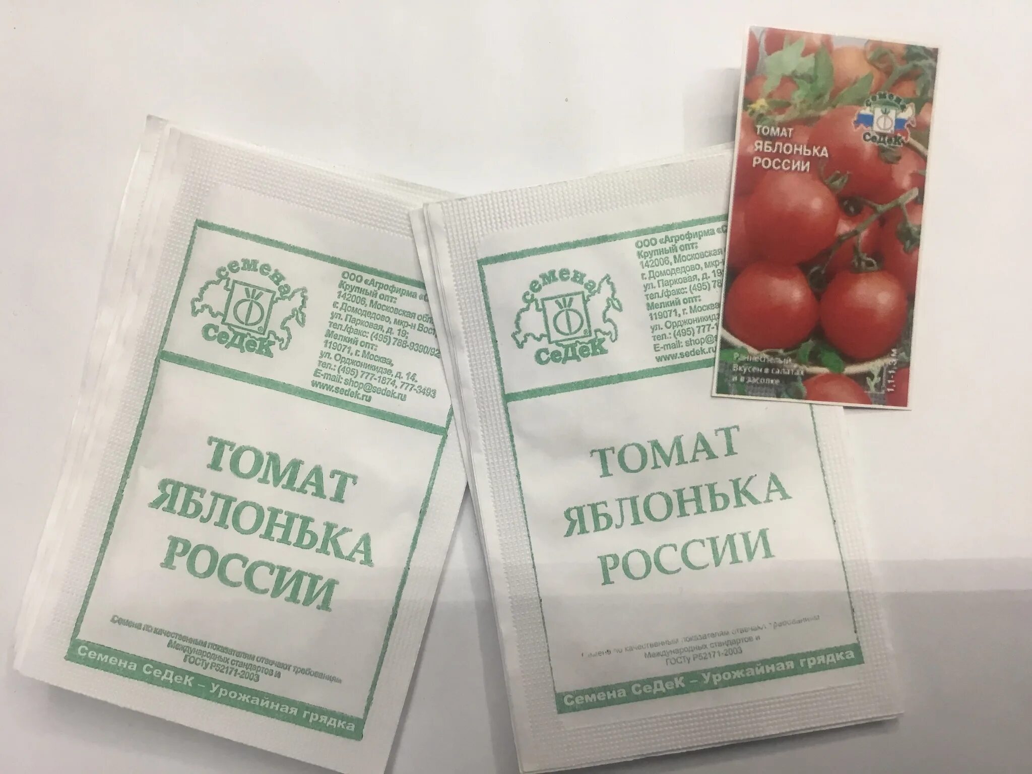 Яблонька россии томат фото урожайность. Томат Яблонька России СЕДЕК. Томаты сорт Яблонька России. Томат Яблонька России 0,1 г. Томаты Яблонька России описание сорта.