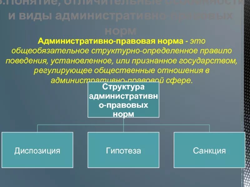 2 процессуальные административно правовые нормы устанавливают. Виды норм в административном праве. Соответствие между видами административно правовых норм. Виды административных правовых норм.