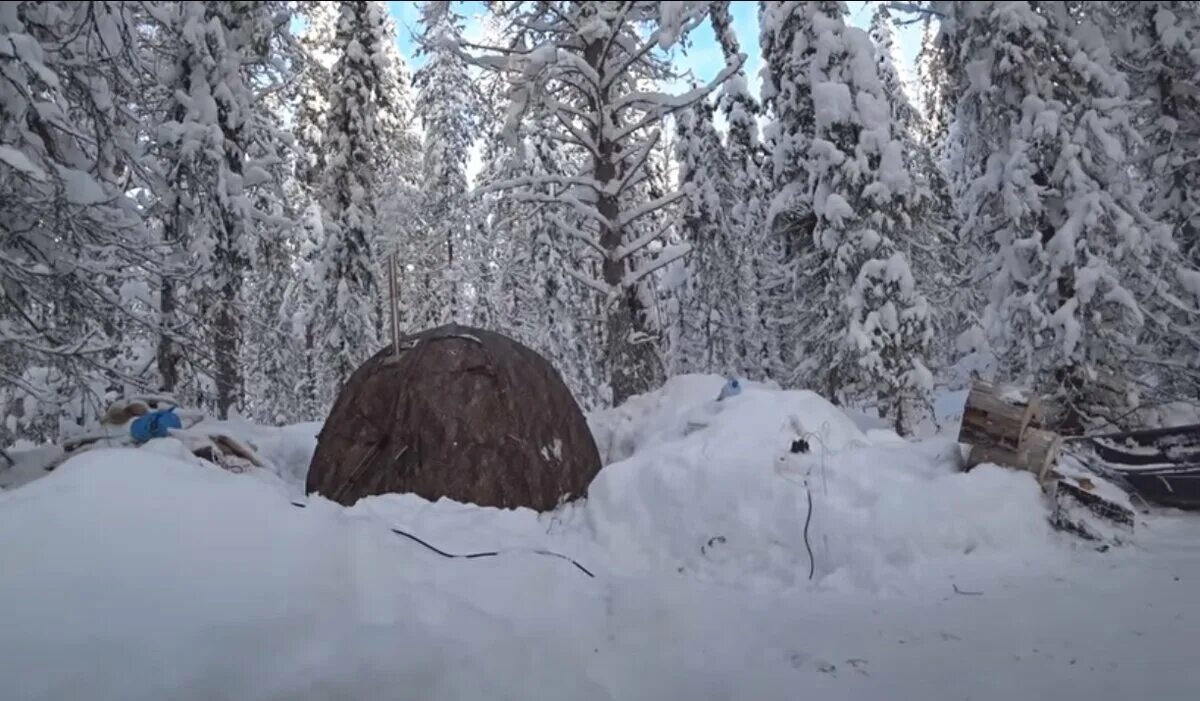 Таежный канал последнее видео