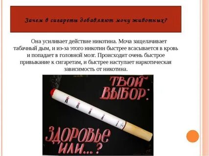 Почему на сигаретах пишут