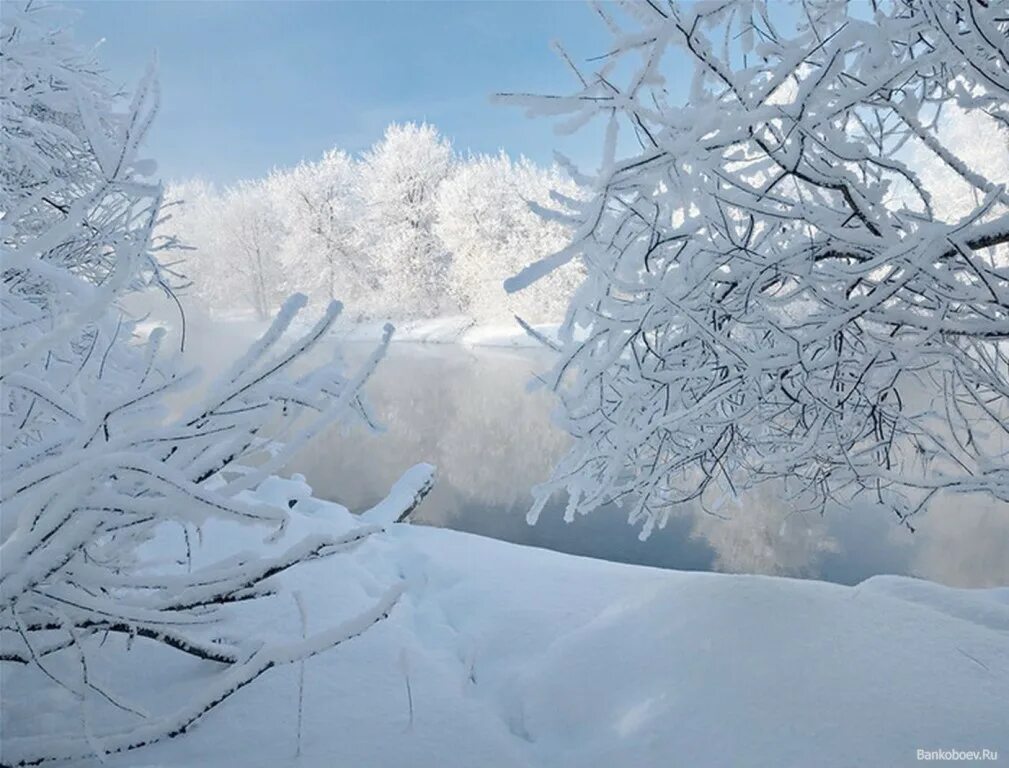 В пелене января. Зима. Зимний пейзаж. Скоро зима. Белый снег.