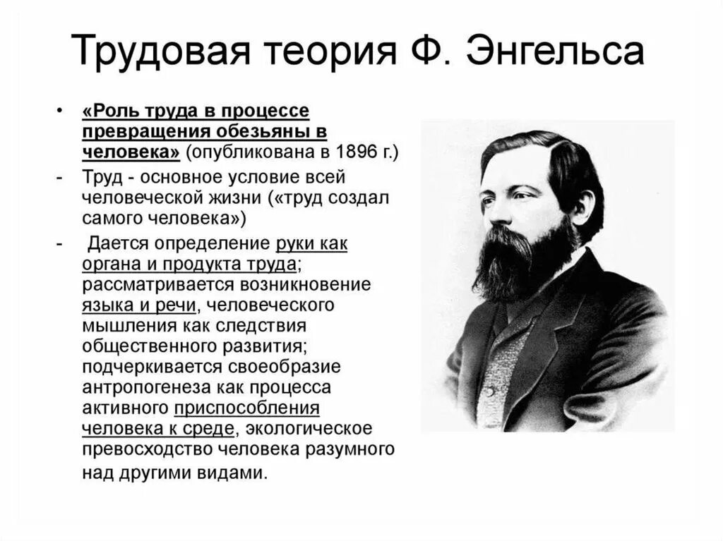 Энгельс роль труда. Трудовая теория Фридриха Энгельса. Трудовая теория происхождения человека.