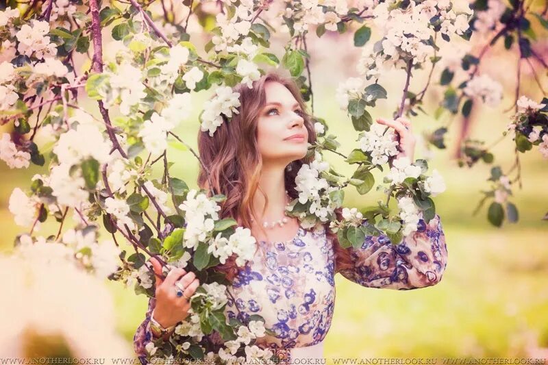 Фотосессия в цвету. Девушка в цветущем яблоневом саду. Девушка в цветущих садах. Фотосессия в цветущем саду. Фотосессия девушек в цветущем саду.