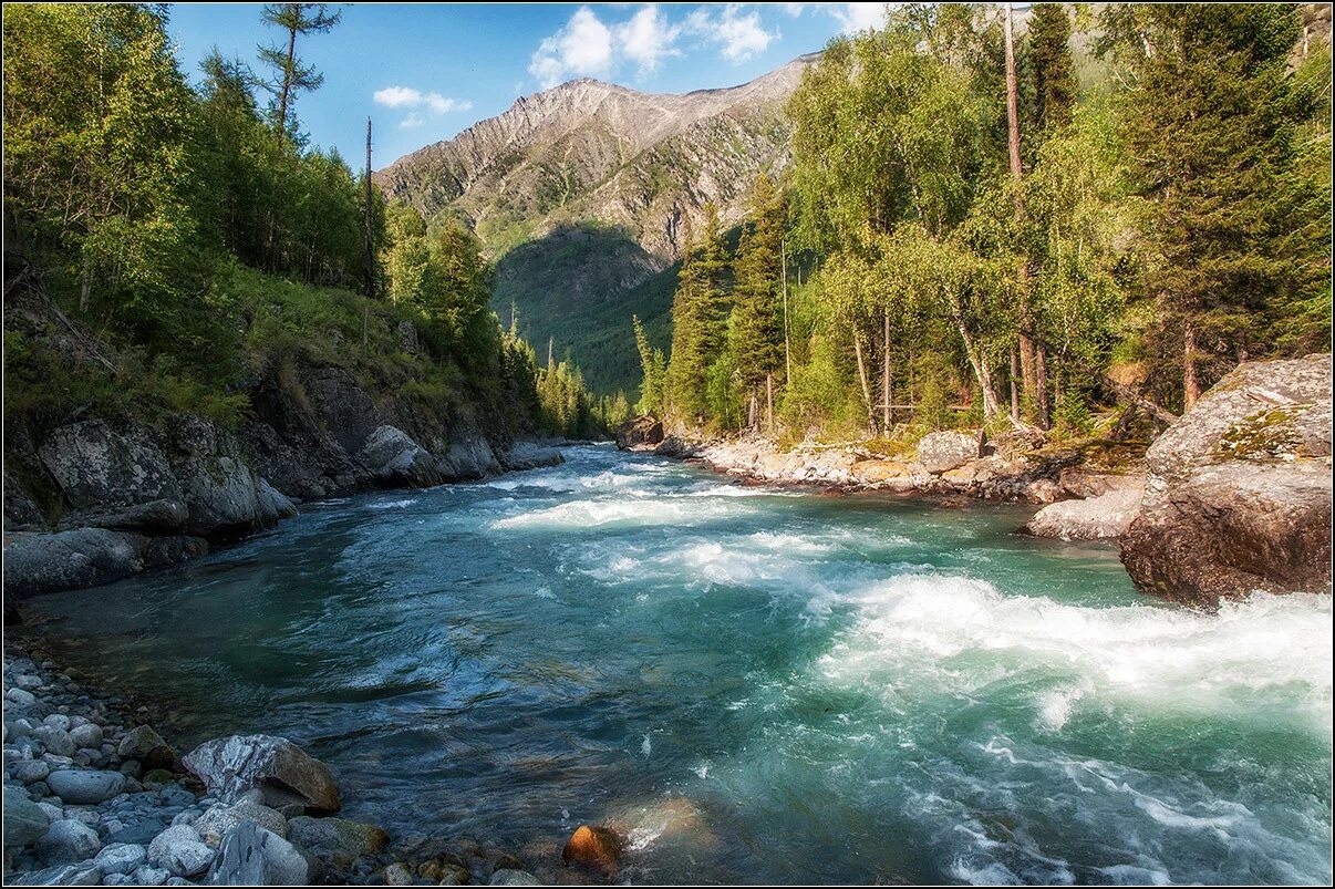 Какая река горная в россии. Река кураган горный Алтай. Кураган (приток Катуни). Карпаты, Урал, Алтай.. Пейзаж Алтай Чемал.