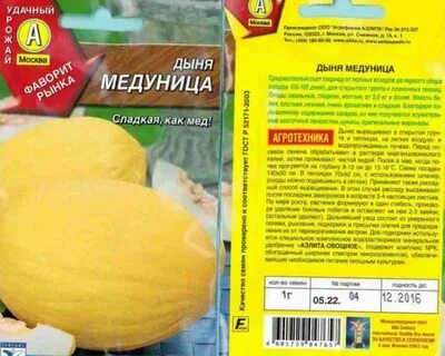 Дыня золушка