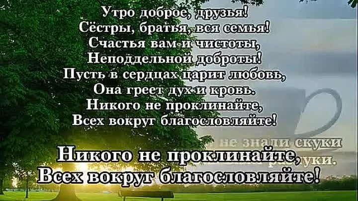 С добрым утром братья и сестры. Доброе утро братик. Доброе утро брат. Доброе утро братья и сестры картинки.