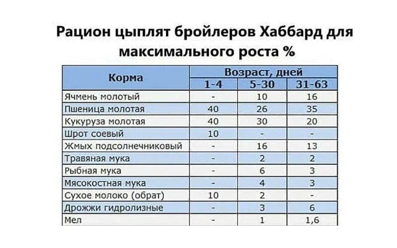 Какую траву давать бройлерам