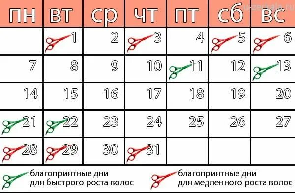 Благоприятные дни для стрижки ногтей. Календарь стрижки ногтей. Календарь стрижки ногтей по дням недели. Стрижка ногтей по дням. Благоприятные для маникюра в апреле 2024 года