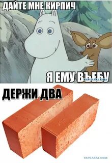 Мем дай картинки