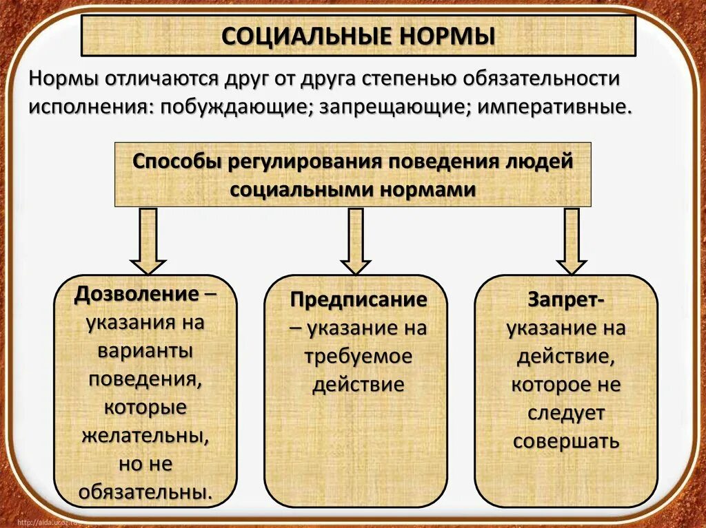 Социальное предписание примеры. Социальные нормы. Формы социальных норм. Соблюдение социальных норм. Социальные нормы презентация.