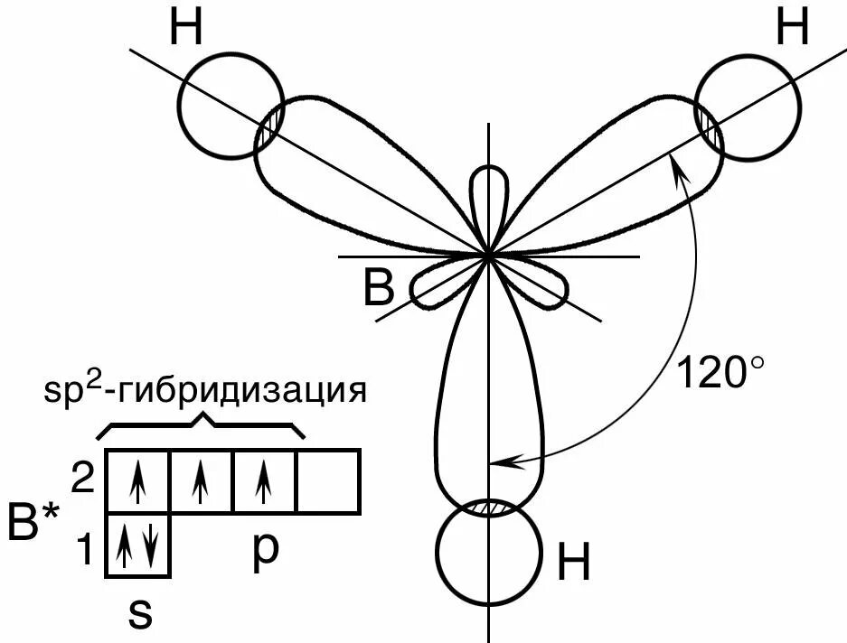 Строение молекул гибридизация. SP гибридные орбитали. Sp2 гибридизация молекулы углерода. Гибридизация атомных орбиталей SP sp2- sp3- гибридизация. Sp2 гибридизация строение.