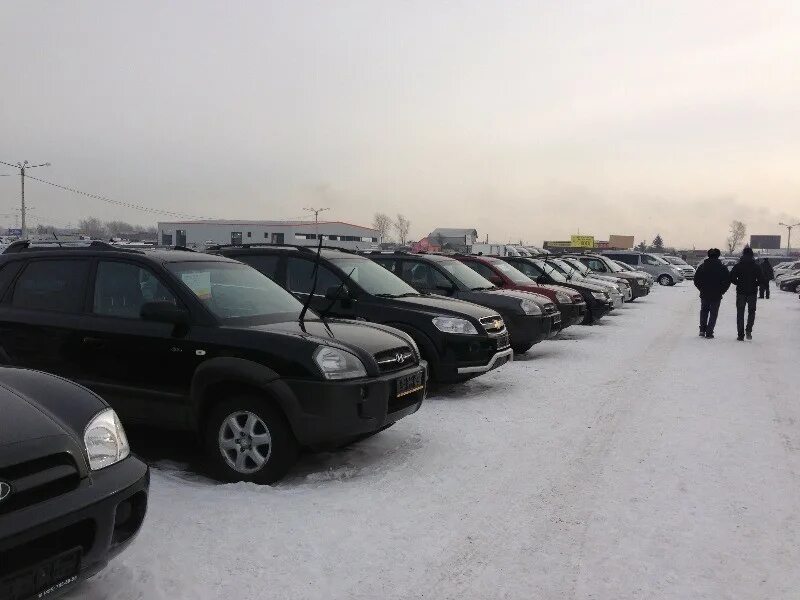 Иркутский рынок автомобилей. Авторынок 777 Красноярск. Авторынок Фортуна. Автомобильный рынок в Иркутске в рабочем. Красноярск продажа б у автомобилей