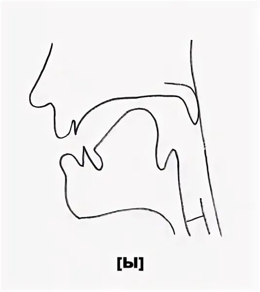 Чтение гласных в 4 типах слога английский. Как произносится ь. Русский и иностранный язык. Ы как произносится. Артикуляция гласных звуков.