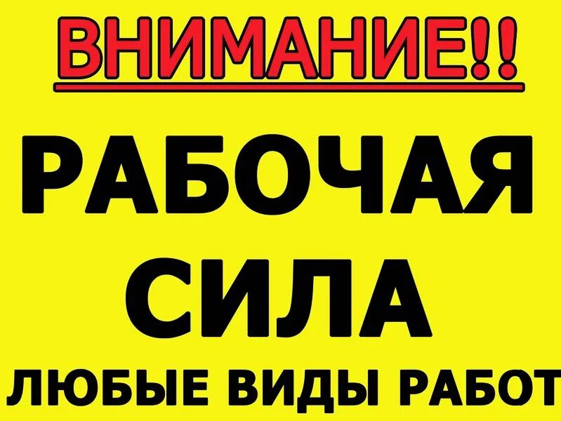 Внимание рабочие дни. Разнорабочие. Услуги разнорабочих. Грузчики разнорабочие фото. Предлагаю услуги разнорабочих.