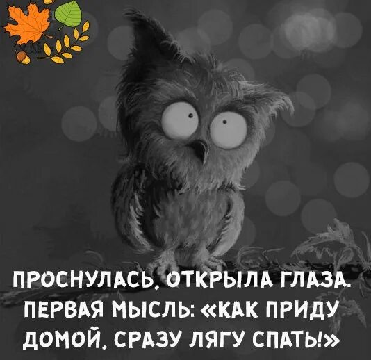 Открывая утром глазки. Как приду домой сразу лягу спать. Глазки открывай просыпайся. Открываем глазки просыпаемся. Первая мысль приду домой сразу лягу спать.