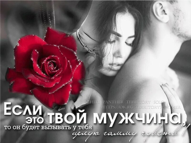 Хочу быть твоим мужчиной. Твой мужчина. Мой единственный мужчина. Я твой мужчина. Я буду твой тонкий