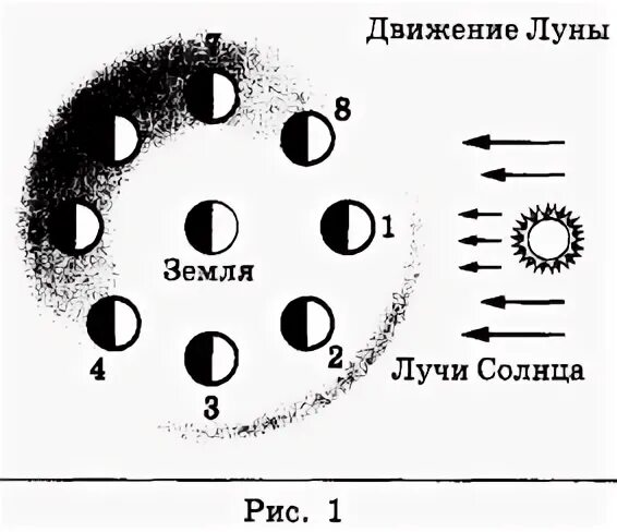 Полнолунию соответствует положение 1 Луны рис 1. Движение Луны схема. Схема смены фаз Луны. Схема движения Луны вокруг земли.