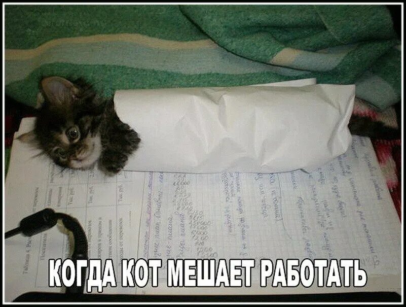 Мешал основа