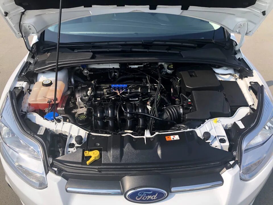 Подкапотное пространство фокус 3. Ford focus подкапотное пространство.