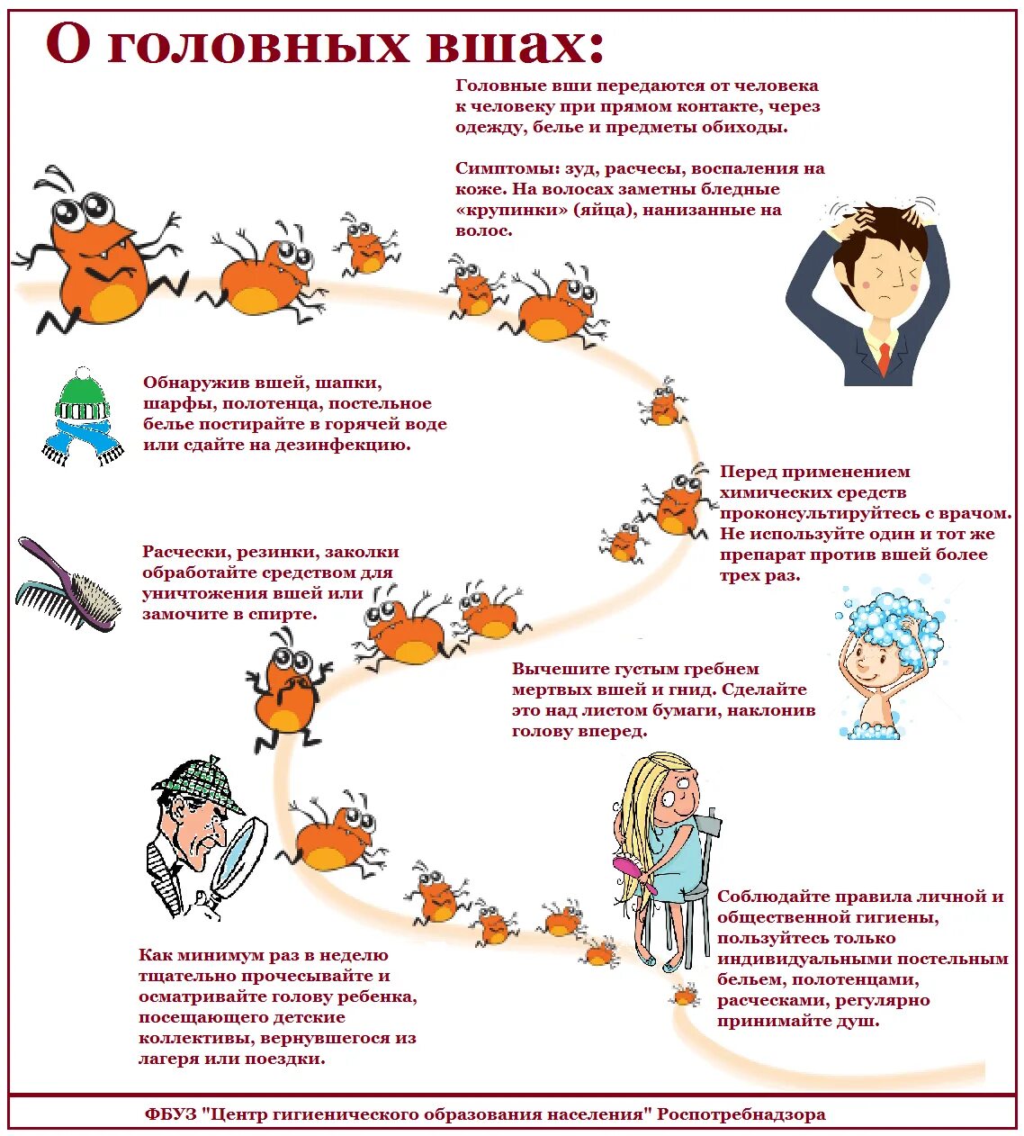 Профилактика и борьба с педикулезом. Симптомы педикулеза памятка. памятка по педикулезу для родителей в детском саду. профилактика педикулёза памятка для родителей в детском. памятка для родителей педикулез у детей.