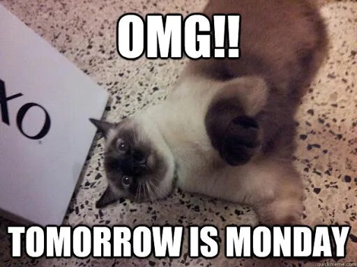 Tomorrow is life. Monday мэм. Monday meme. Monday is. Бойся это понедельник VTV C rjntyrjv.