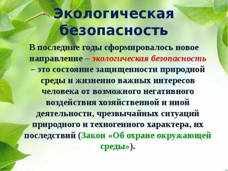 Экологическая безопасность это определение. Экологическая безопасность. Экология и безопасность кратко. Тема экологическая безопасность. Экологическая безопасность примеры.