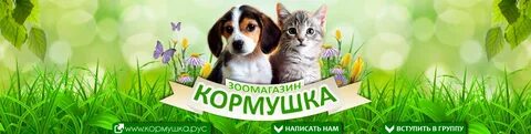 Бог зоомагазина 134