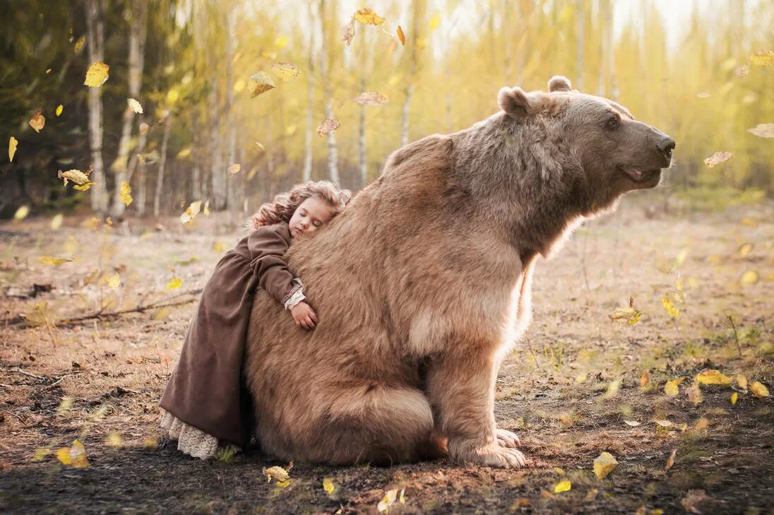 He can t bear. Медведь. Медведь обнимает. Красивый медведь. Медведь Россия.