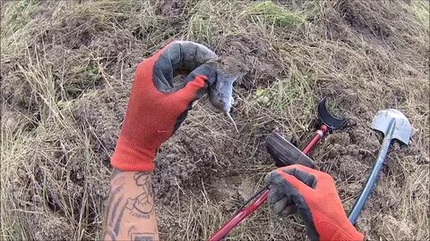 Коп новое последнее видео