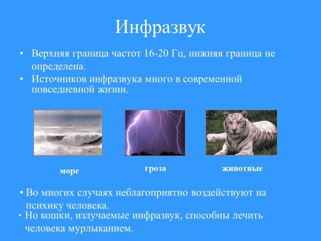 Инфразвук. Инфразвук примеры. Источники инфразвука. Инфразвук презентация.