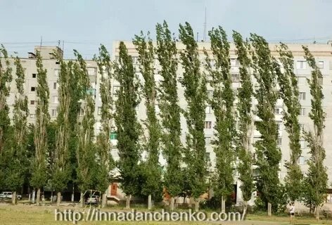 Тополей 12 самара