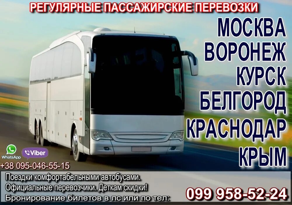 Автобус москва краснодар. Номер телефона водителя маршрутки. Регулярные пассажирские перевозки. Номер телефона водителя маршрутки. Пассажирские перевозки москва краснодар.