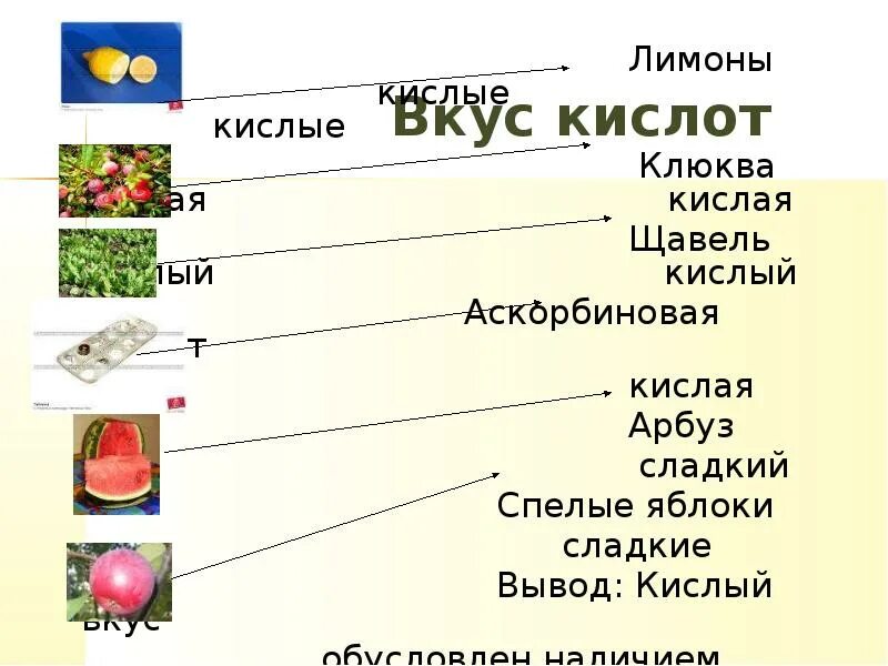 Вкус кислот. Лимонная кислота в клюкве. Почему кислоты кислые на вкус. Вкус лимонной кислоты. Лимонная кислота в репчатом луке