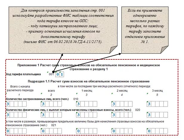 Код застрахованного лица. Код тарифа застрахованного лица. Код плательщика страховых взносов. Код тарифа плательщика. Код страхователя физического лица в ефс 1