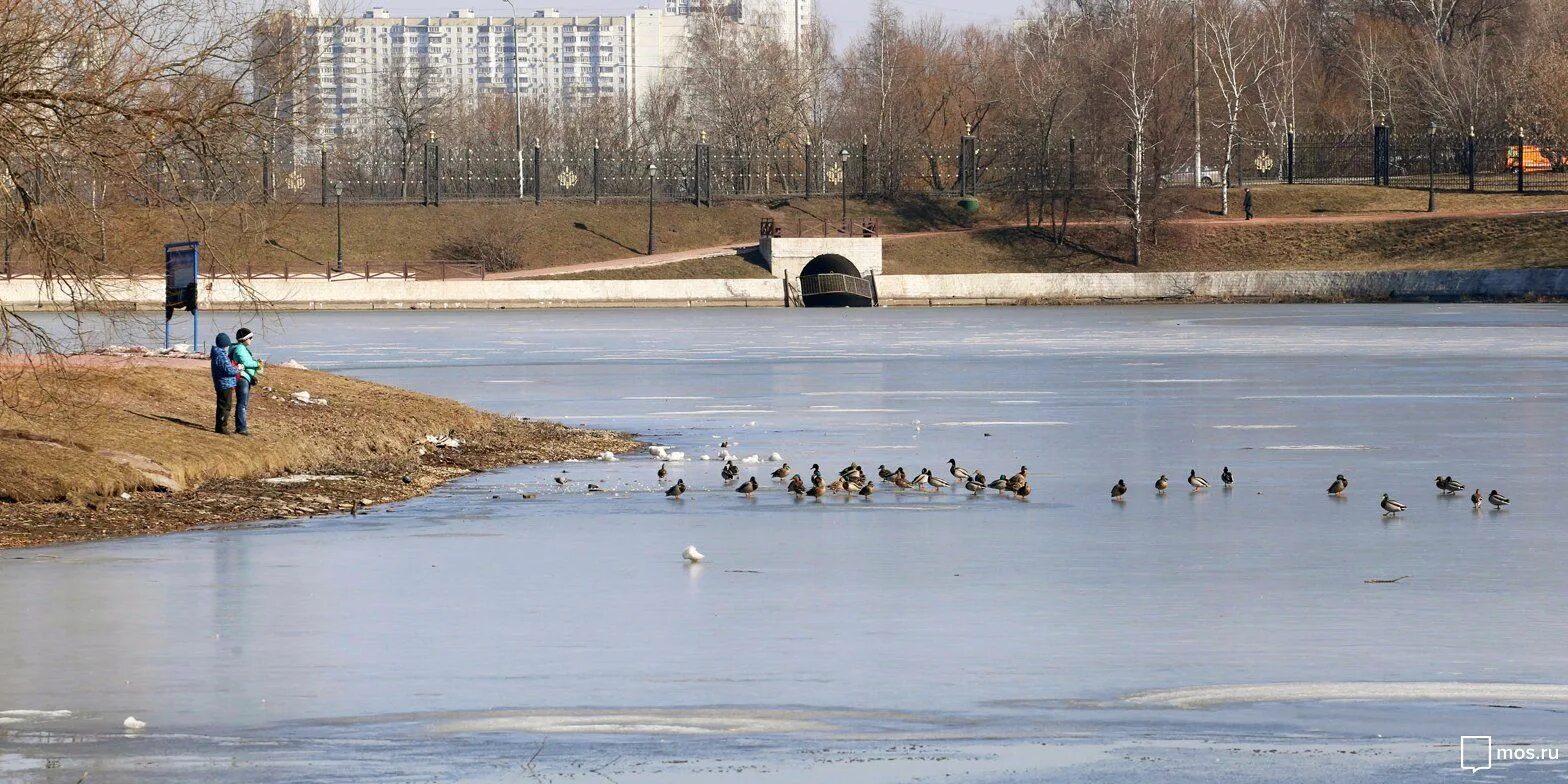 Пруды симферополь. Порядок пруды. Дренажный прудик на даче. Пруд декоративный пластиковый. Порядок пруды.
