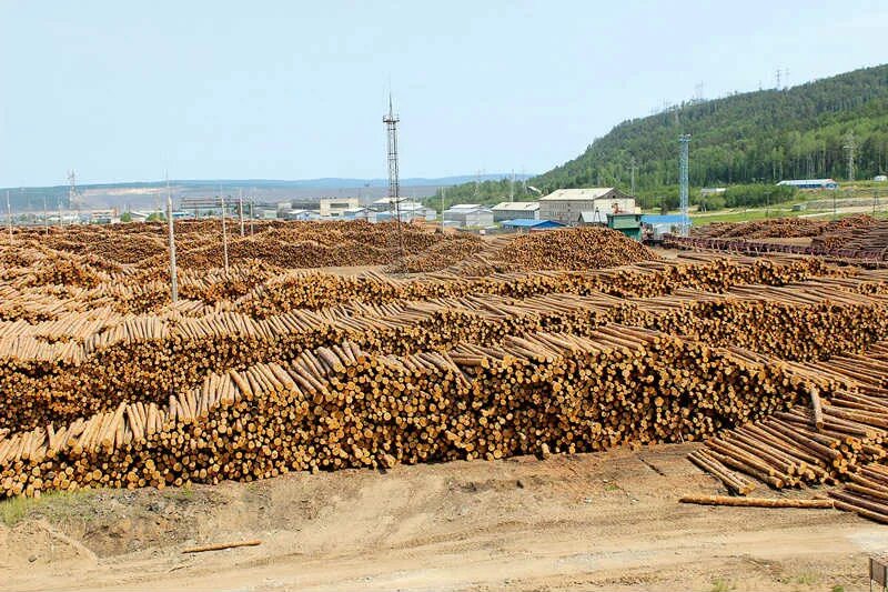 Лесная отрасль республика коми. Лесная промышленность кировской области. Предприятия лесной отрасли. Форвардер ponsse buffalo. Предприятия лесной отрасли.