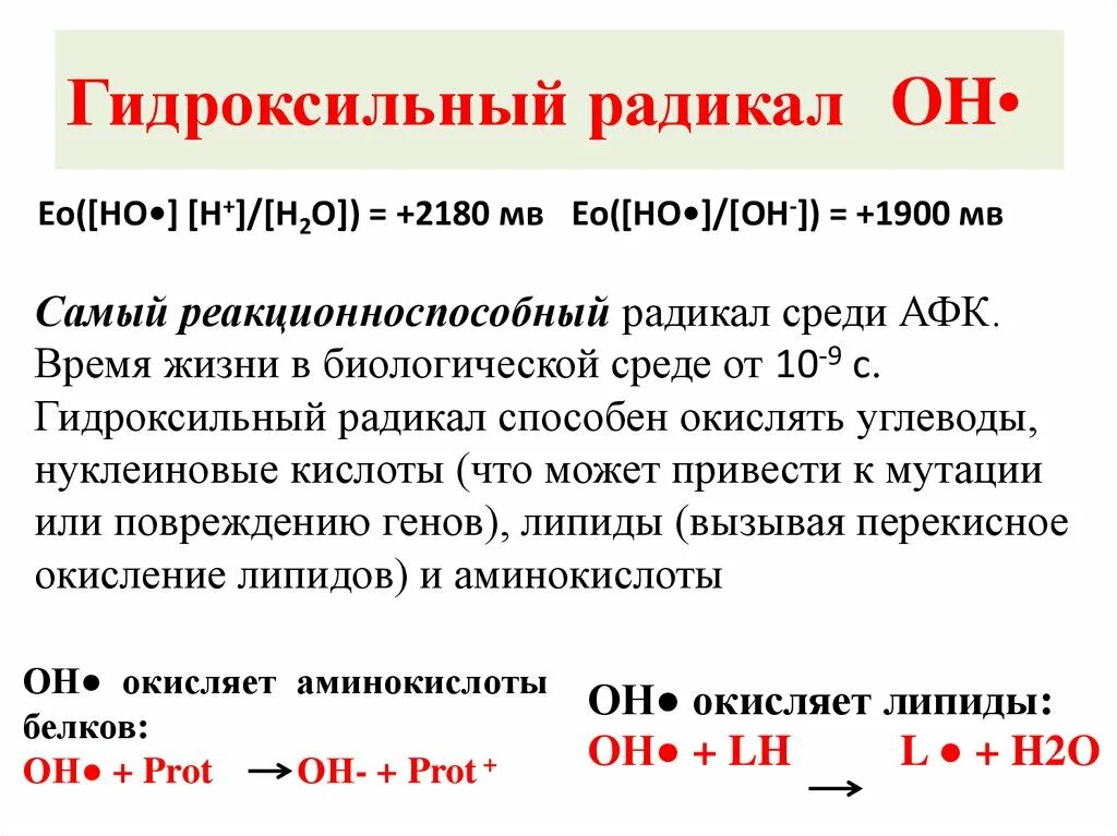 Гидроксильный радикал. Активные формы кислорода. Гидроксильный радикал АФК. Образование активных форм кислорода. Радикал значение