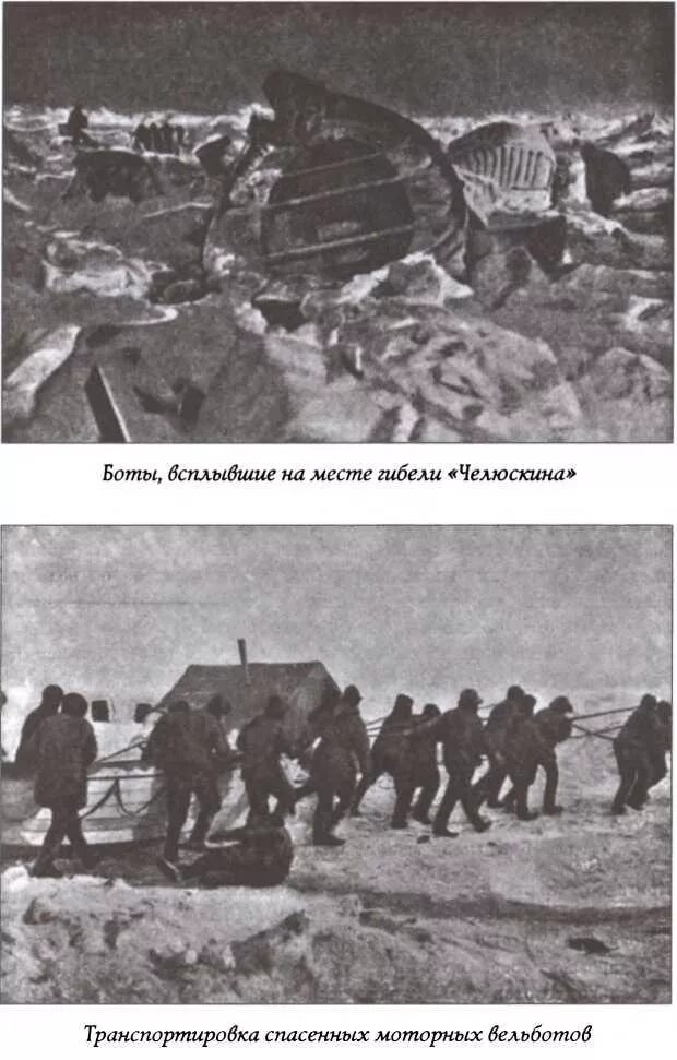 Челюскинская эпопея год. История Челюскинской эпопеи. Знаменитая Челюскинская эпопея. Фотография Челюскинская эпопея.