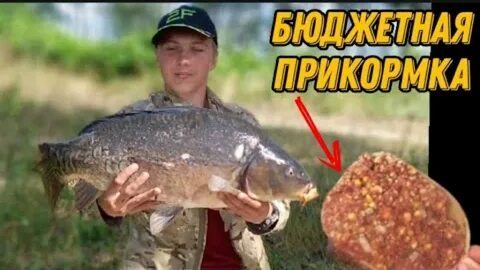 Приманка на карпа осенью