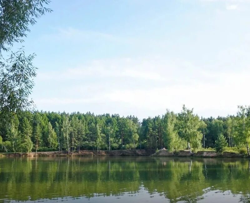 Шишкинский пруд Домодедово. Пруд в Шишкино Домодедово. Водоем в Домодедово. Домодедово Фламандия пруд. Водоемы домодедово