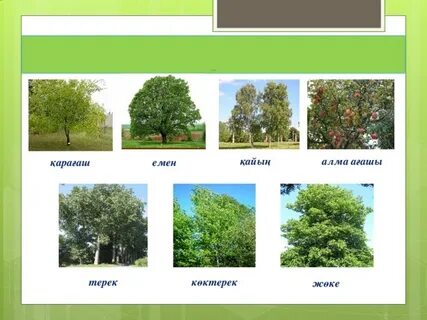 Азов қыздар порно фото