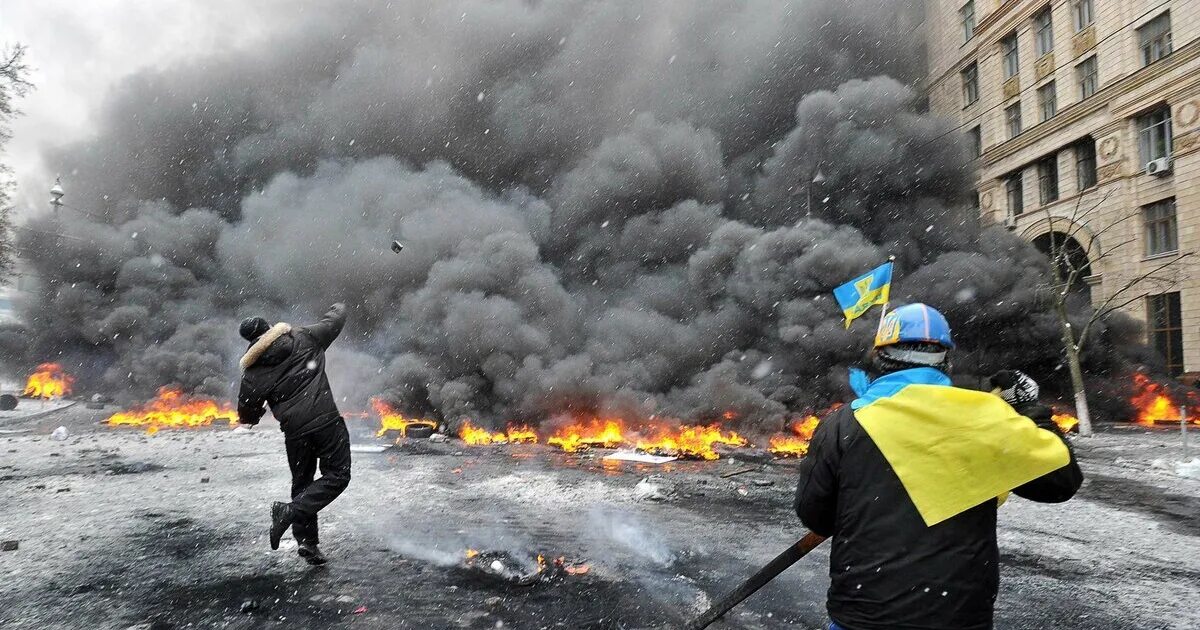 Переворот на Украине 2014. Майдан Украина 2013. Дело майдана